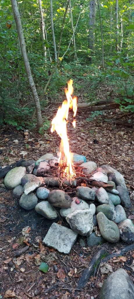 Lagerfeuer im Wald